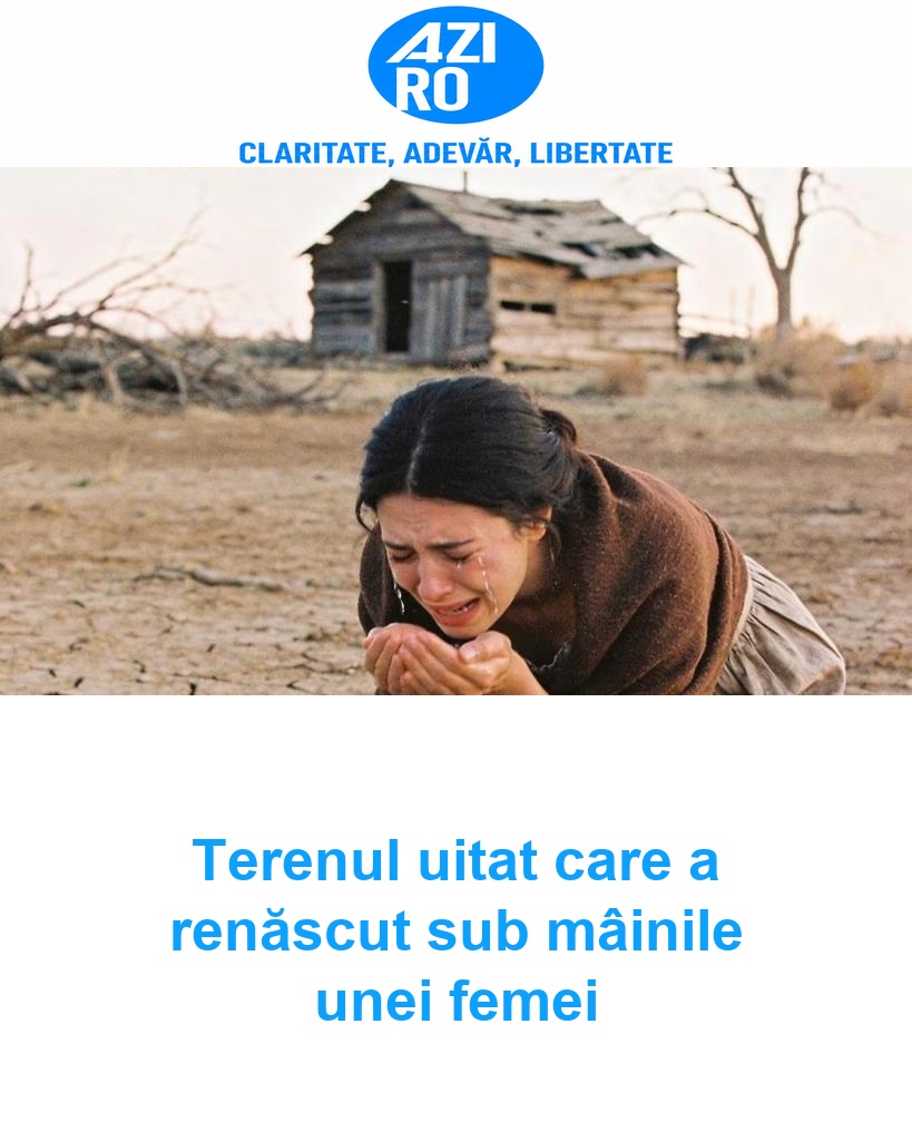 Terenul uitat care a renăscut sub mâinile unei femei