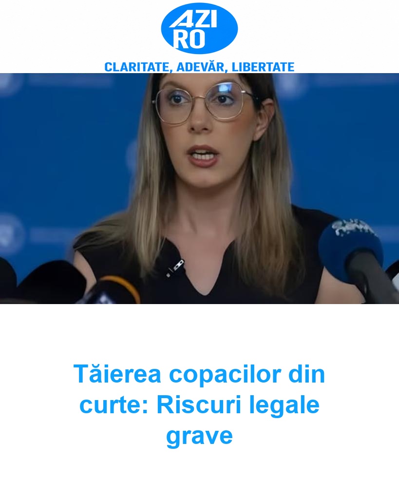 Tăierea copacilor din curte: Riscuri legale grave