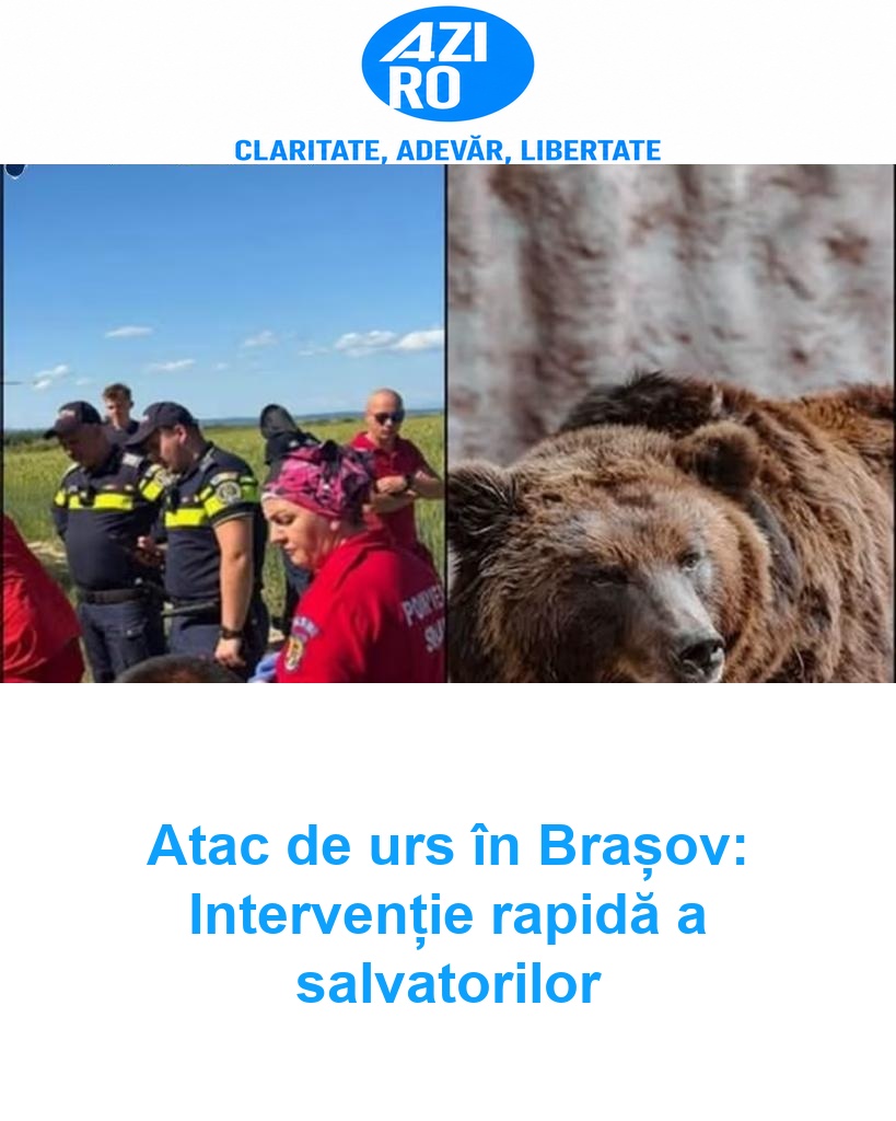 Atac de urs în Brașov: Intervenție rapidă a salvatorilor