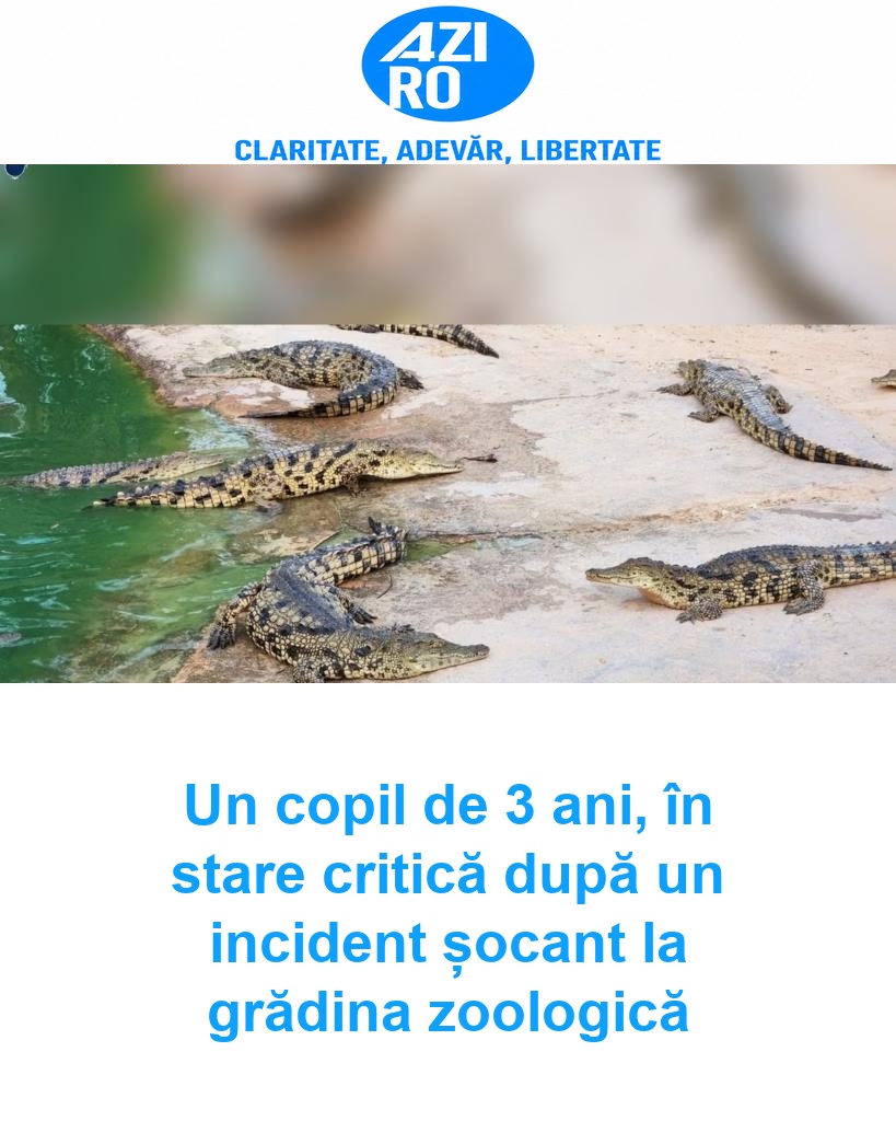 Un copil de 3 ani, în stare critică după un incident șocant la grădina zoologică