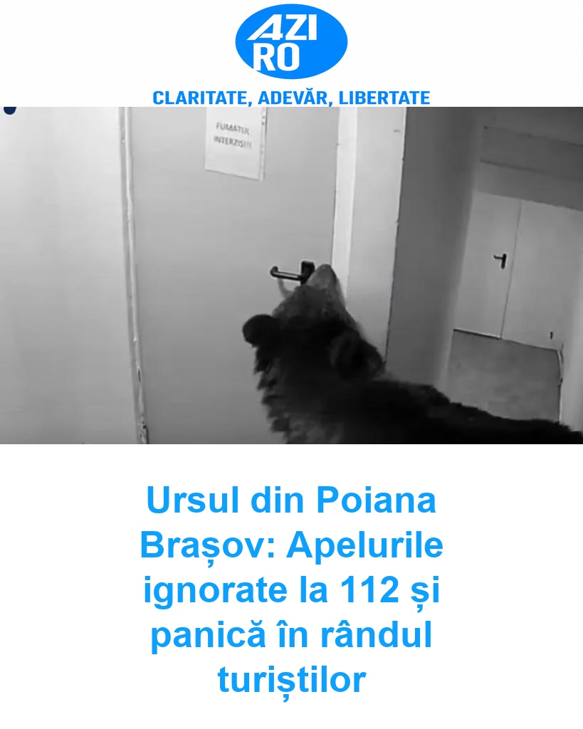 Ursul din Poiana Brașov: Apelurile ignorate la 112 și panică în rândul turiștilor