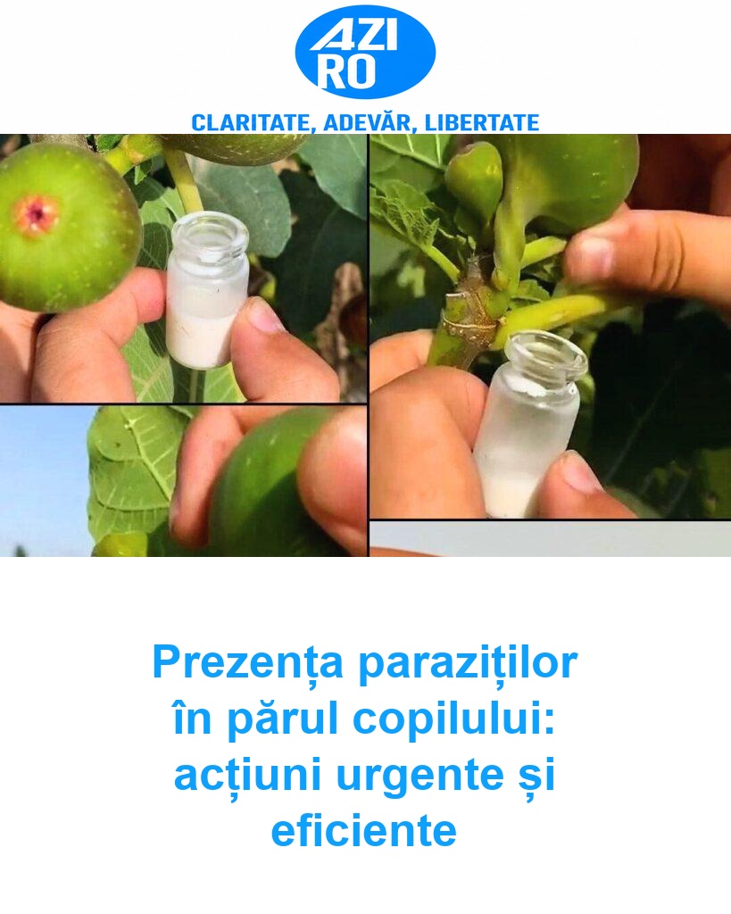 Prezența paraziților în părul copilului: acțiuni urgente și eficiente