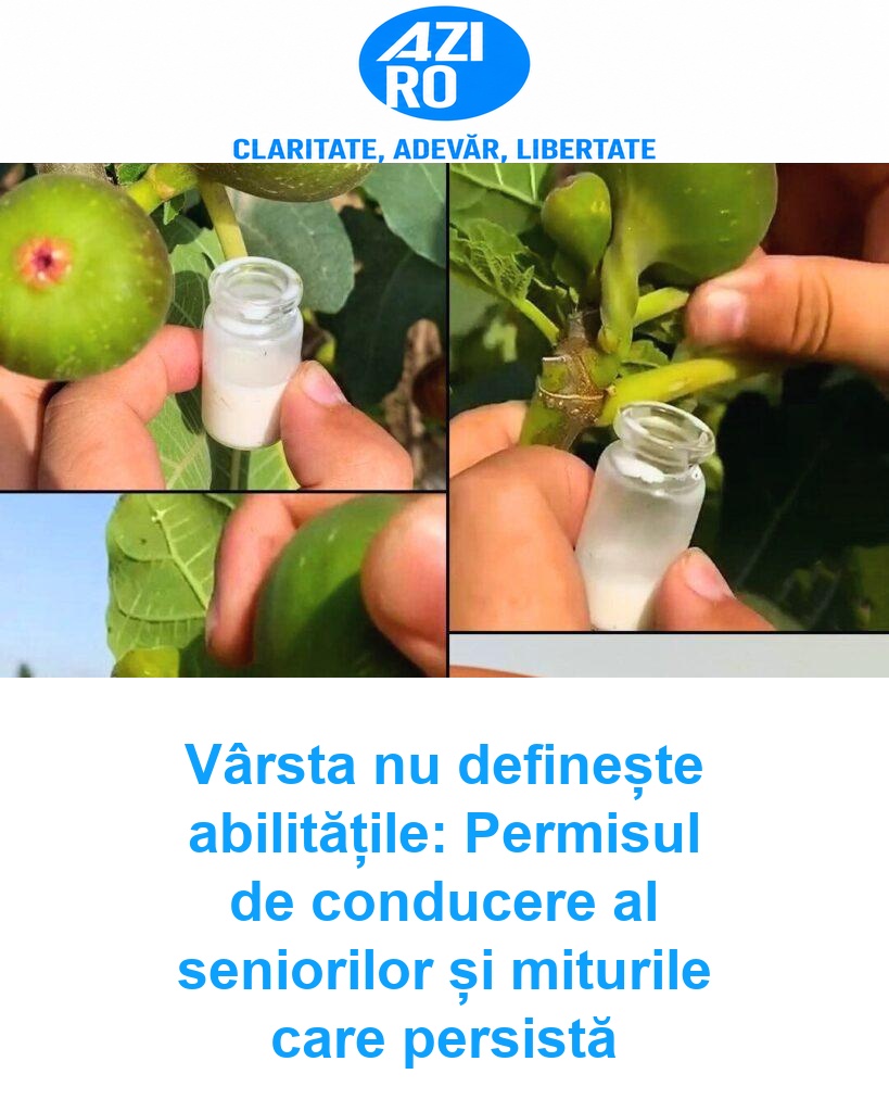 Vârsta nu definește abilitățile: Permisul de conducere al seniorilor și miturile care persistă