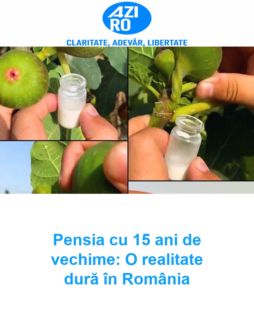 Pensia cu 15 ani de vechime: O realitate dură în România