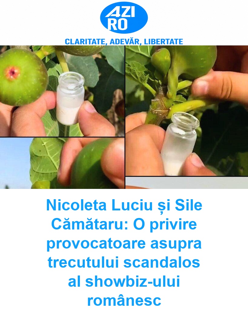 Nicoleta Luciu și Sile Cămătaru: O privire provocatoare asupra trecutului scandalos al showbiz-ului românesc