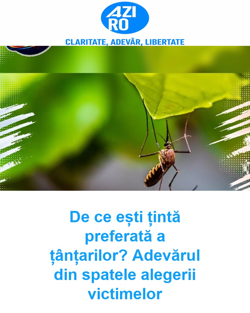 De ce ești țintă preferată a țânțarilor? Adevărul din spatele alegerii victimelor