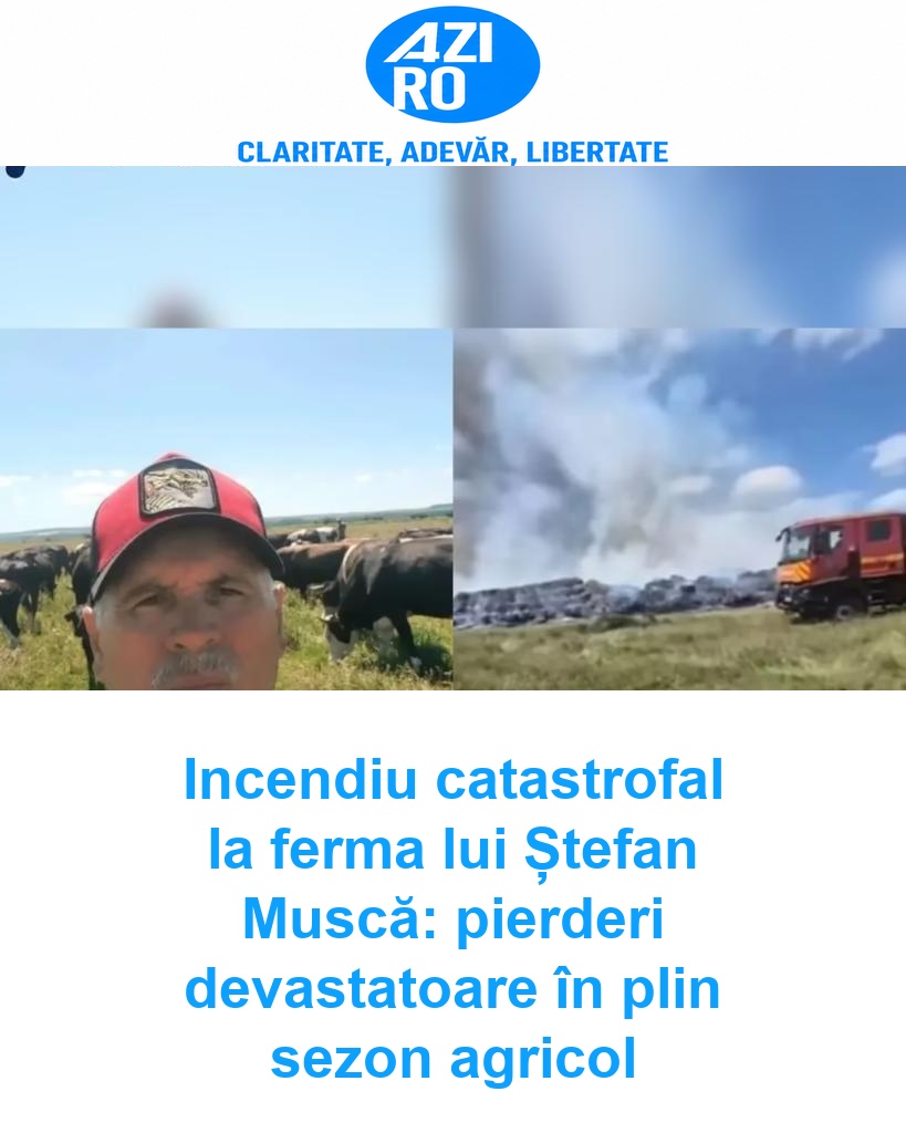 Incendiu catastrofal la ferma lui Ștefan Muscă: pierderi devastatoare în plin sezon agricol