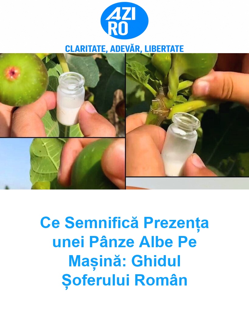 Ce Semnifică Prezența unei Pânze Albe Pe Mașină: Ghidul Șoferului Român