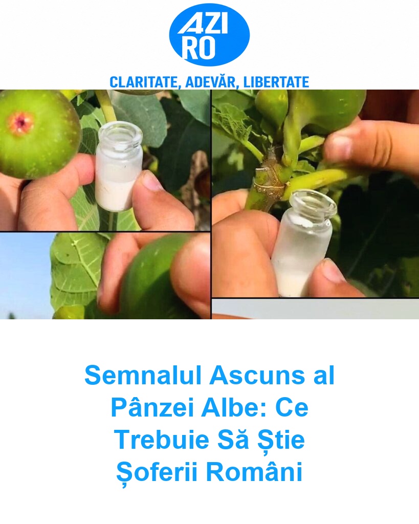 Semnalul Ascuns al Pânzei Albe: Ce Trebuie Să Știe Șoferii Români