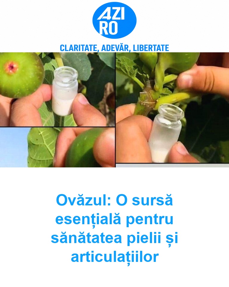 Ovăzul: O sursă esențială pentru sănătatea pielii și articulațiilor