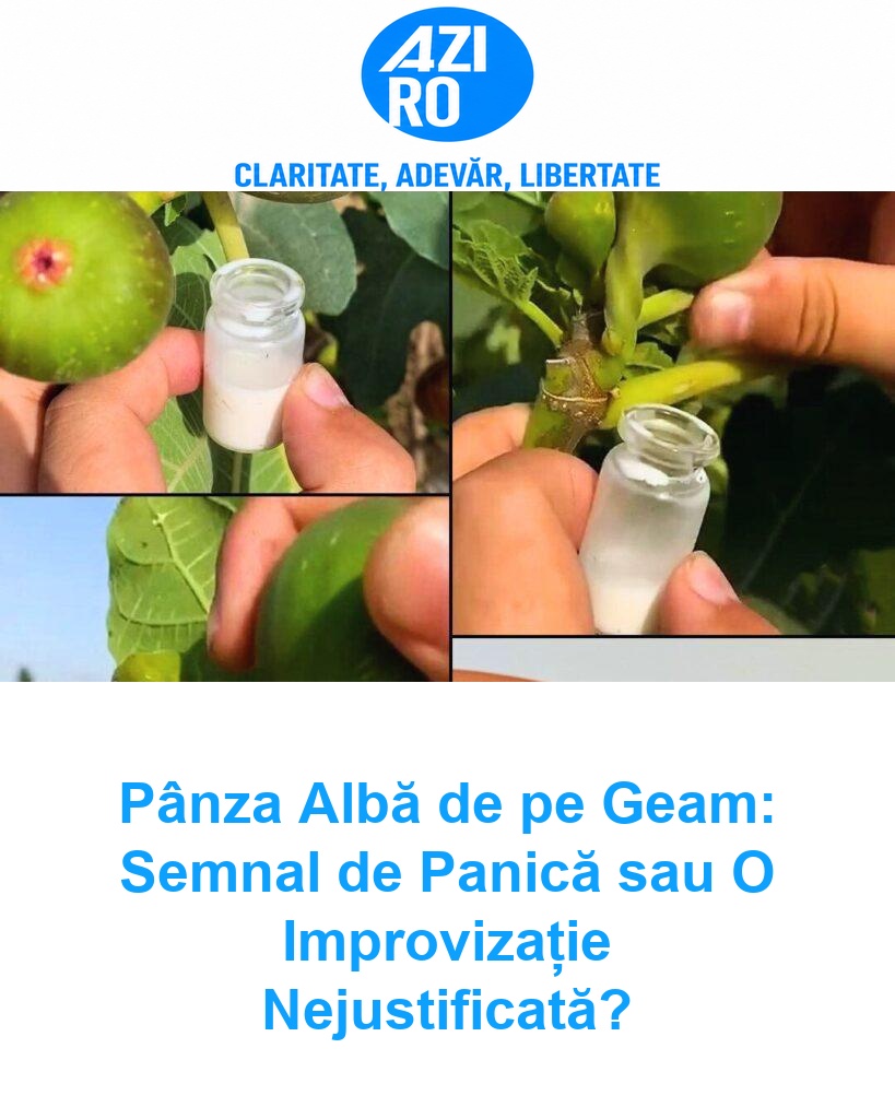 Pânza Albă de pe Geam: Semnal de Panică sau O Improvizație Nejustificată?