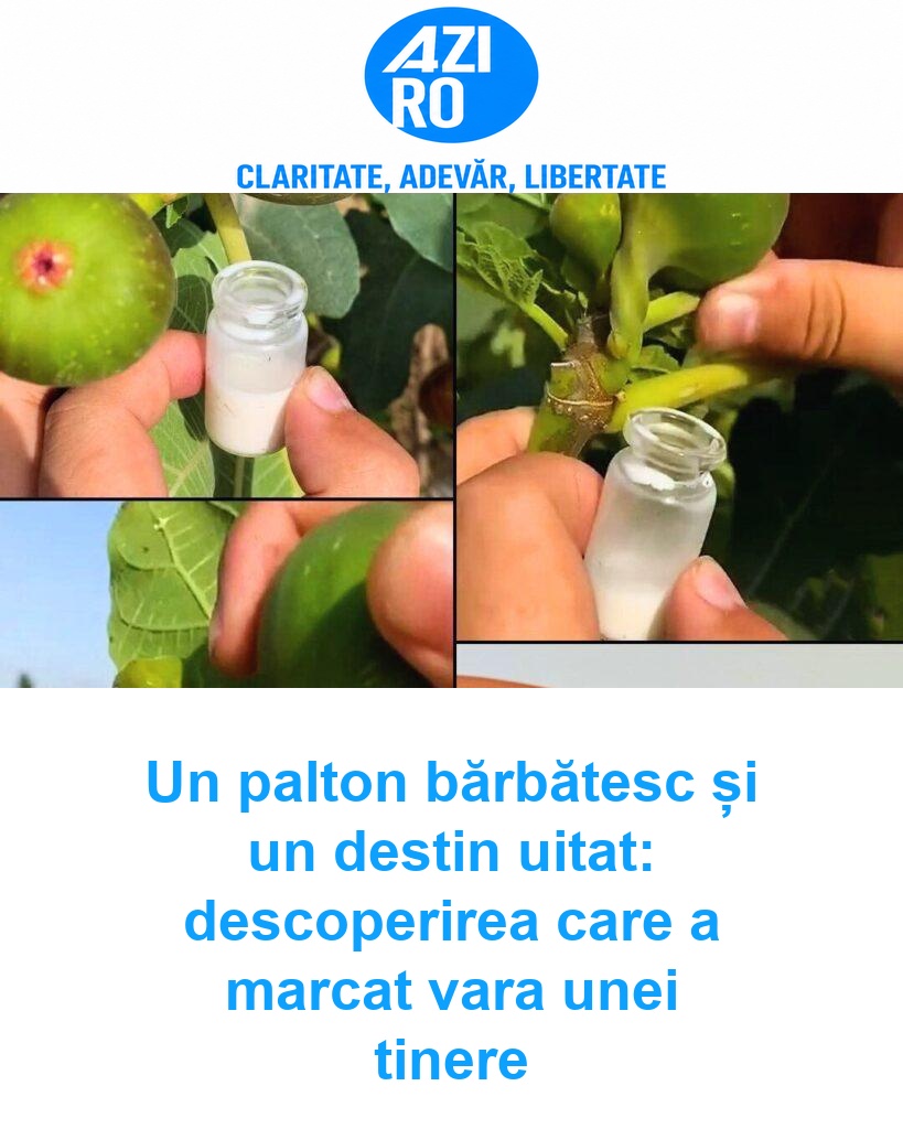 Un palton bărbătesc și un destin uitat: descoperirea care a marcat vara unei tinere