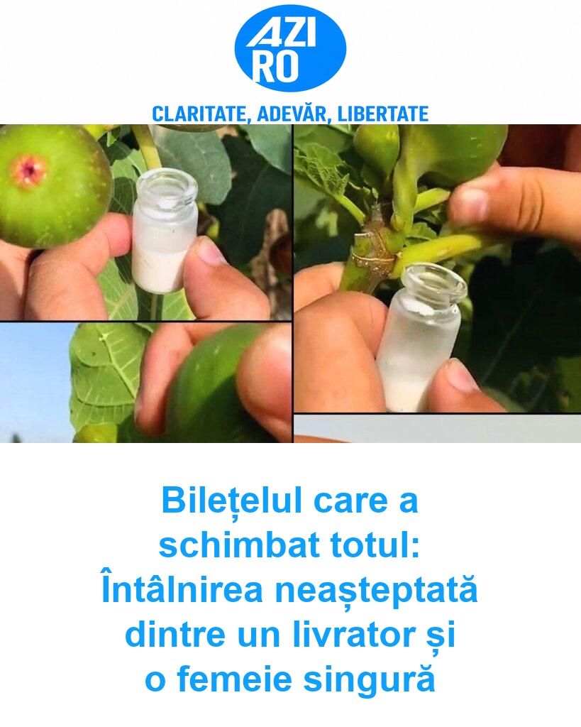 Bilețelul care a schimbat totul: Întâlnirea neașteptată dintre un livrator și o femeie singură